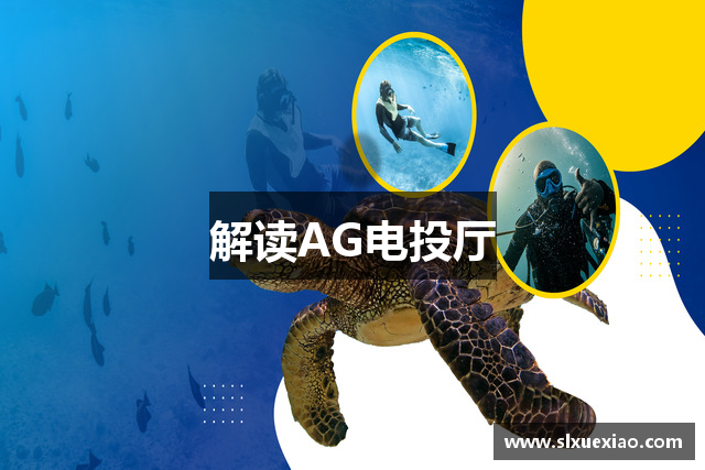 解读AG电投厅
